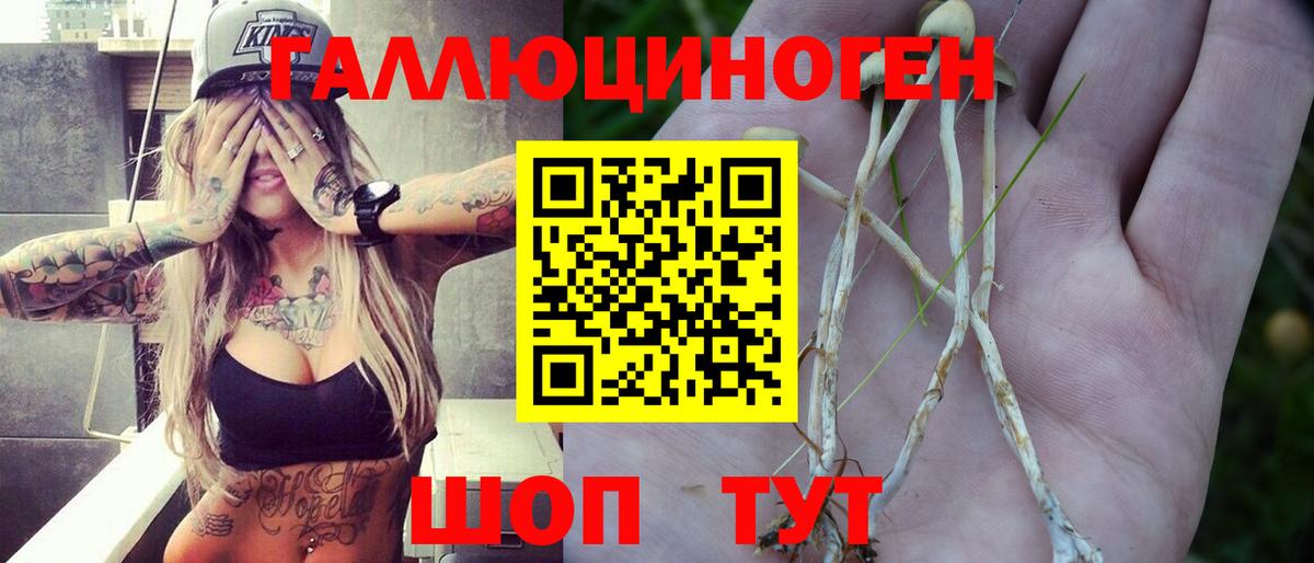 Барабинск  Псилоцибиновые грибы MAGIC MUSHROOMS  Вход с VPN 