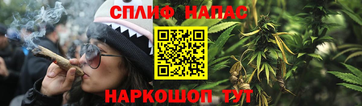 Конопля семена Барабинск